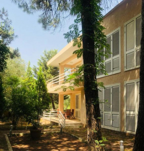 Luxury Villa Lura Resort